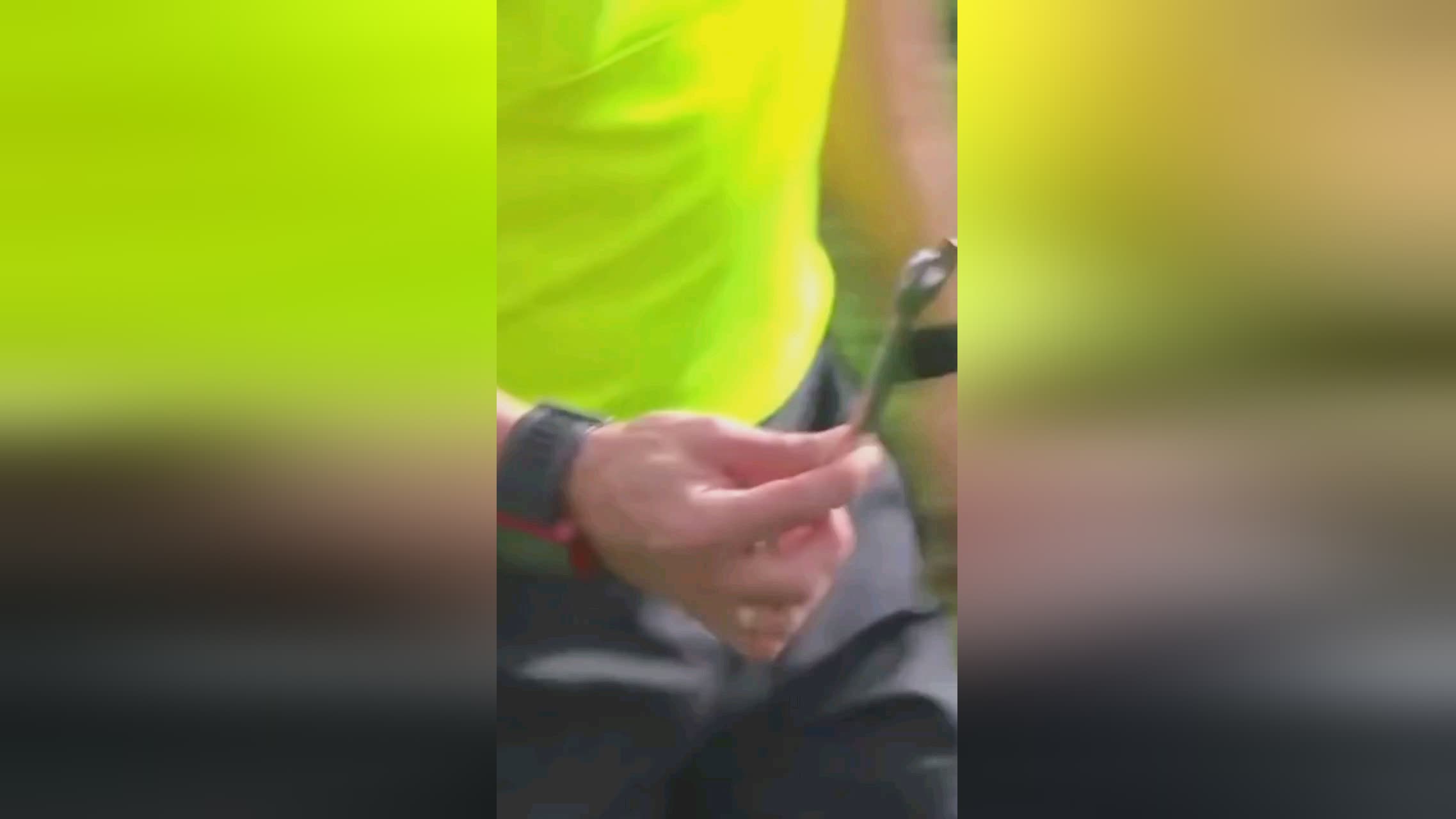 届欧